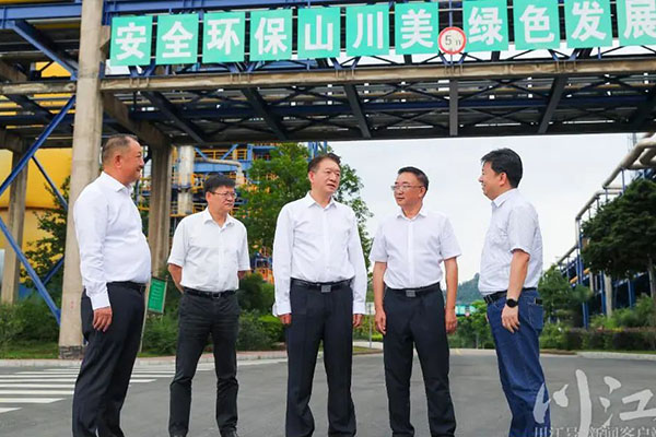 楊林興:把新型工業化擺在更加突出的位置,讓“四化同步”發展的主引擎作用更加凸顯